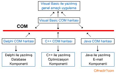 comgiris1.jpg